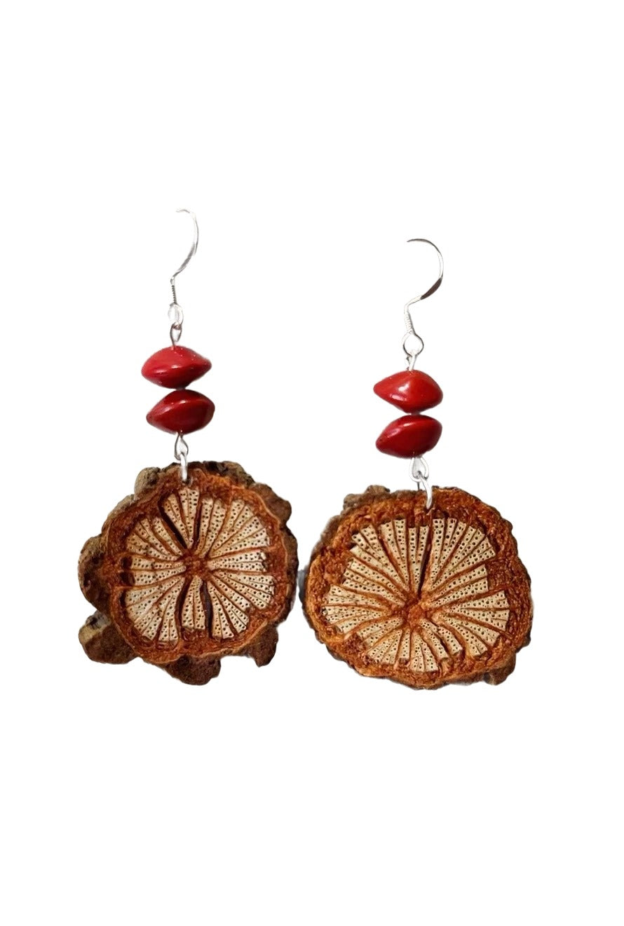 Traditional Chinese medicine earrings